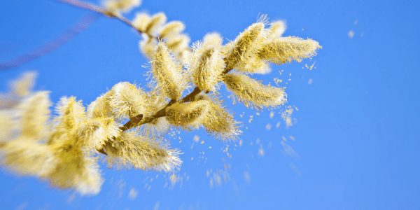 BKCW April Email Image-1